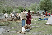 Ladakh - horse men on tle trekking routes